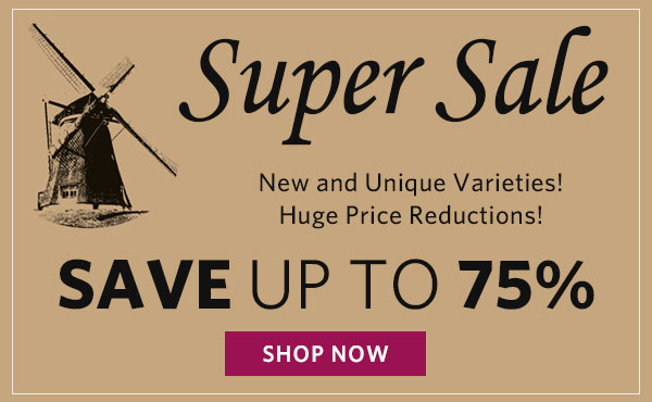 Save up to 75%!