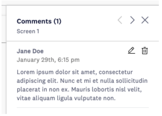 comment panel shown with a sample comment