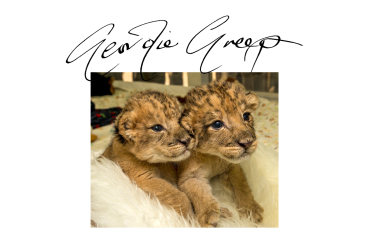 Vibra con la excentricidad de Geordie Greep​ image