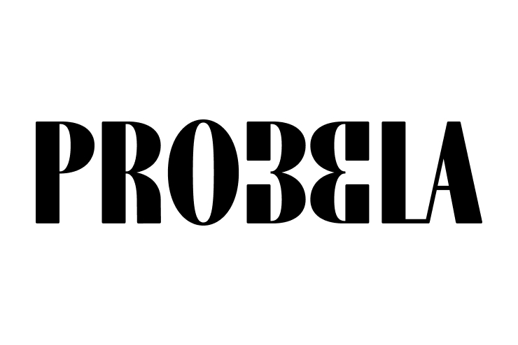 Probela - 10% de descuento en marcas externas (10% DSCTO)