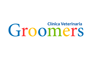 Groomers - Hasta 40% de descuento en el Plan salud perros senior + hemograma + orina: S/ 288 (40% DSCTO)