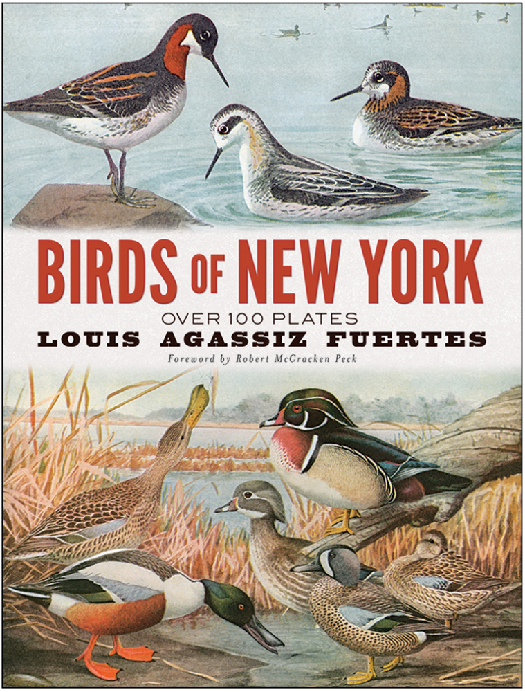 Birds of New York: Over 100 Plates